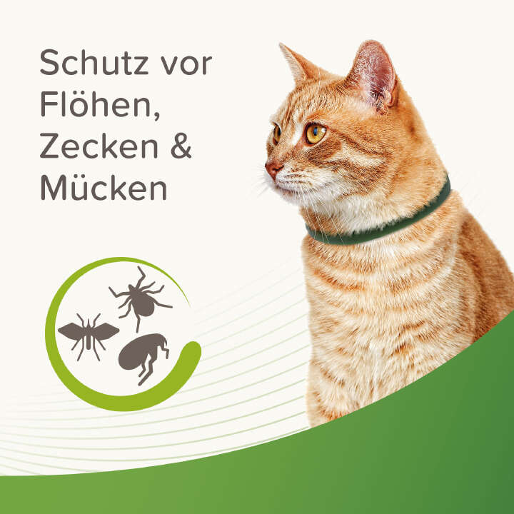 beaphar Zecken- und Flohschutz Halsband für Katzen